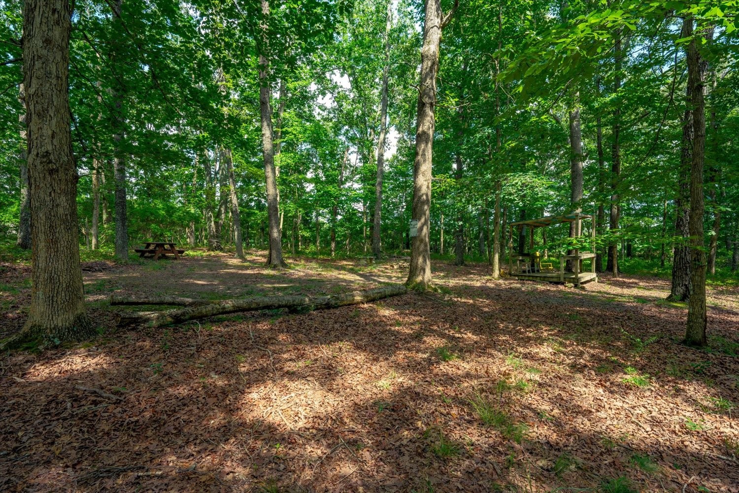 124 Napier Road Hohenwald, TN 38462 - Photo 75 of 83