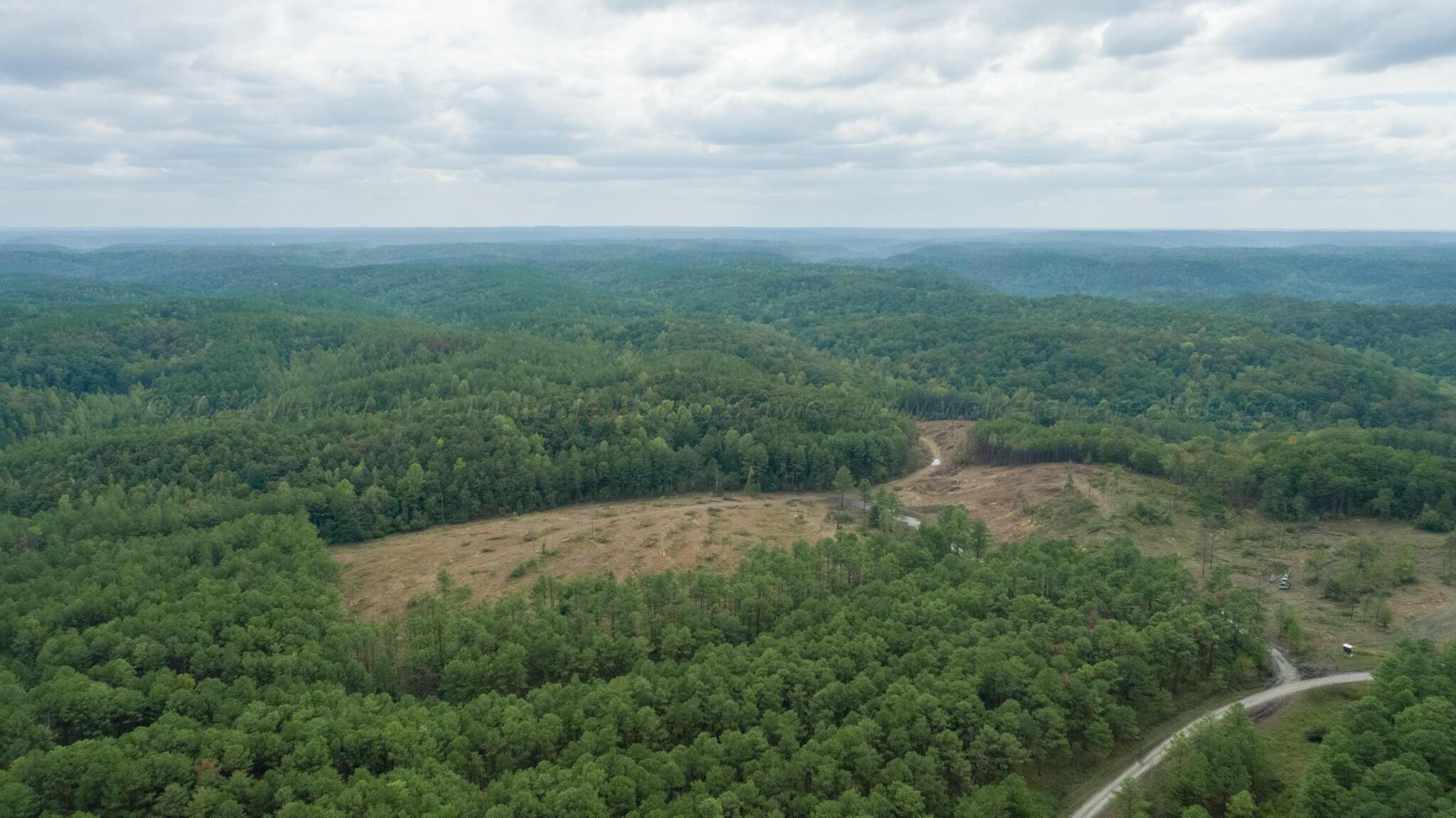 Coal Road Townley, AL 35587 - Photo 2 of 5 Gallery Image 2
