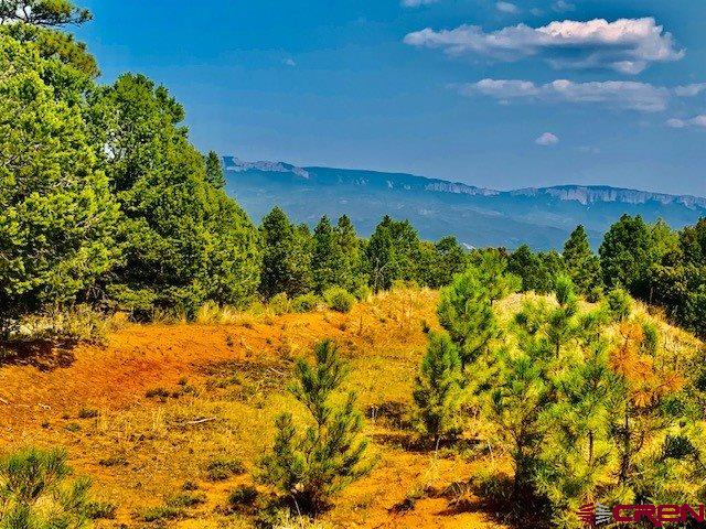 5 Cottontail Lane Ridgway, CO 81432 - Photo 11 of 32 Gallery Image 11