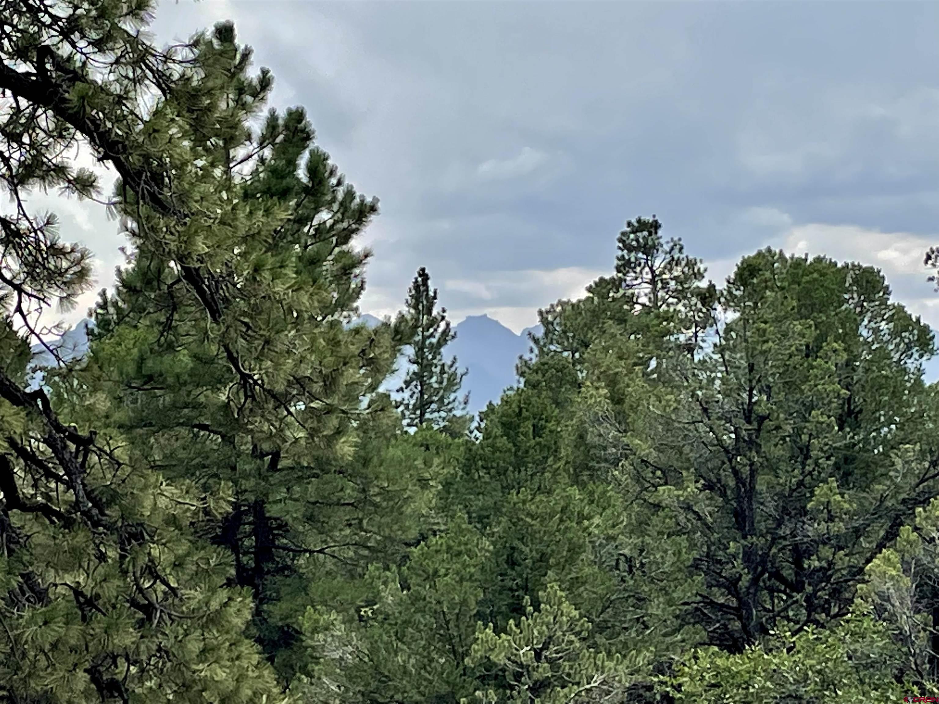 5 Cottontail Lane Ridgway, CO 81432 - Photo 15 of 32 Gallery Image 15