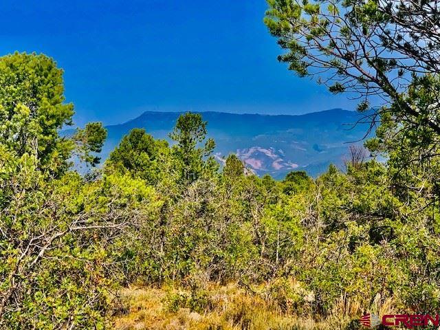 5 Cottontail Lane Ridgway, CO 81432 - Photo 3 of 32 Gallery Image 3