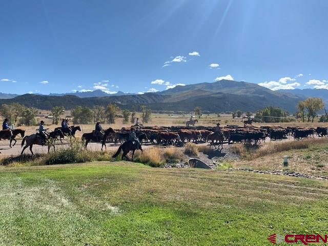 5 Cottontail Lane Ridgway, CO 81432 - Photo 25 of 32 Gallery Image 25