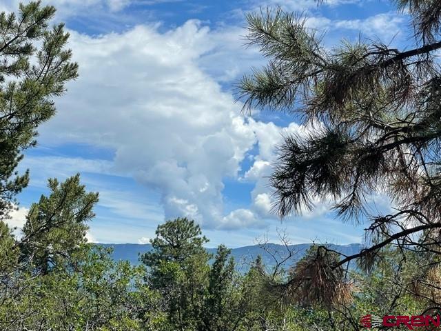 5 Cottontail Lane Ridgway, CO 81432 - Photo 28 of 32 Gallery Image 28