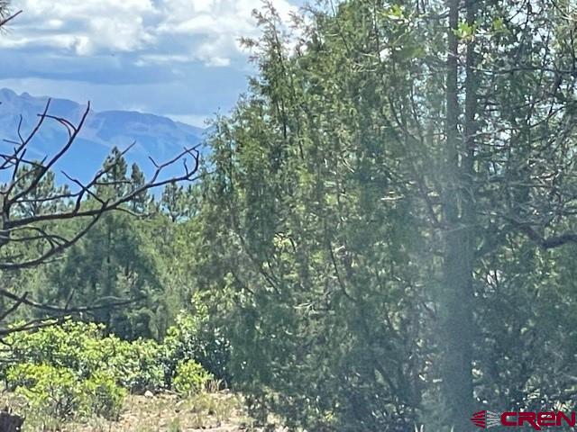 5 Cottontail Lane Ridgway, CO 81432 - Photo 4 of 32 Gallery Image 4