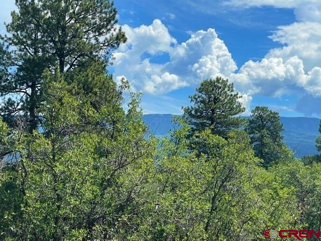 5 Cottontail Lane Ridgway, CO 81432 - Photo 7 of 32 Gallery Image 7