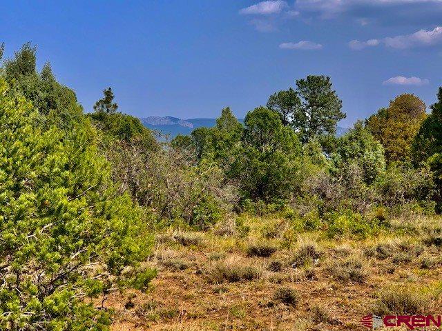 5 Cottontail Lane Ridgway, CO 81432 - Photo 8 of 32 Gallery Image 8