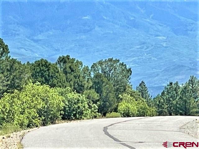 5 Cottontail Lane Ridgway, CO 81432 - Photo 9 of 32 Gallery Image 9