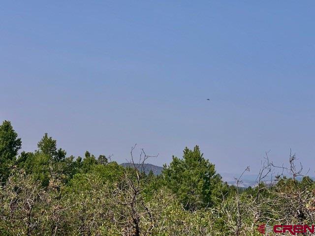 5 Cottontail Lane Ridgway, CO 81432 - Photo 10 of 32 Gallery Image 10