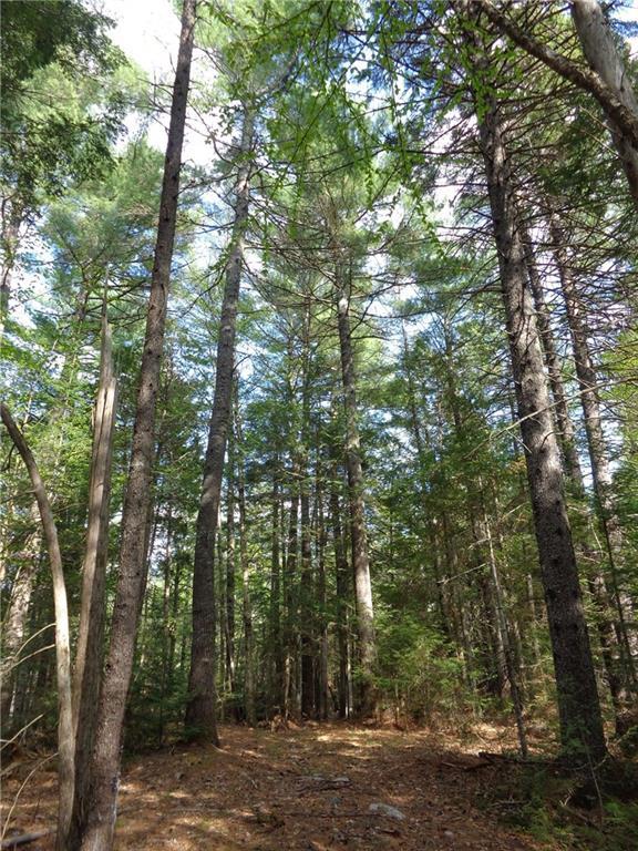 1096 Macomber Mill Road Eastbrook, ME 04634 - Photo 5 of 7 Photo