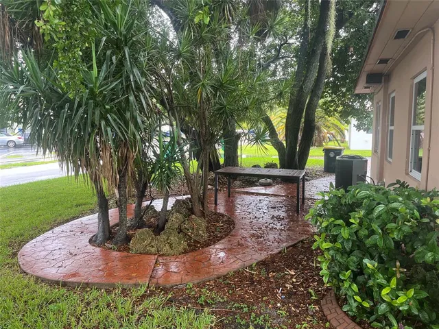 a view of a garden with a tree