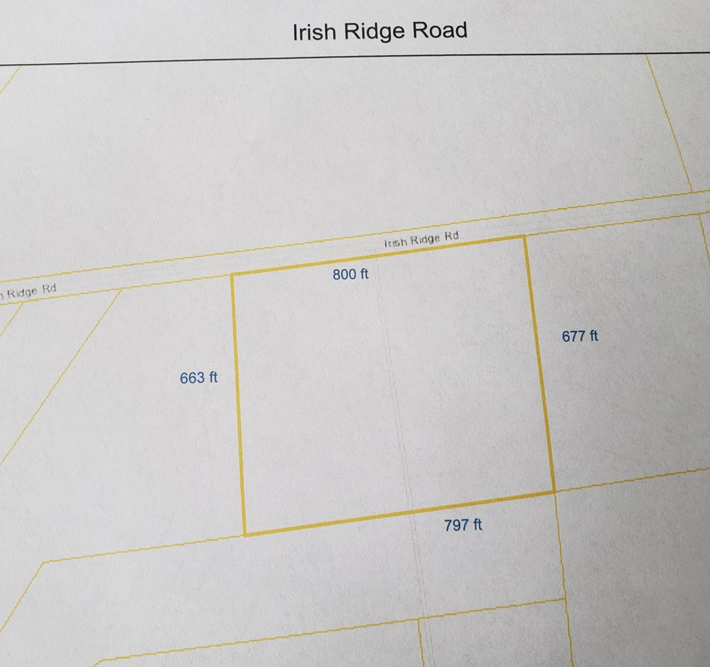 0 Irish Ridge Road Moira, NY 12957 - Photo 3 of 3
