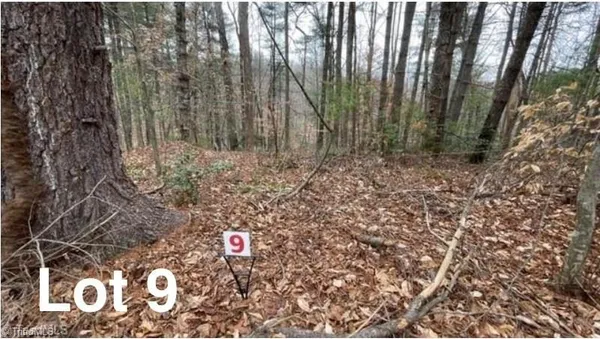 $29,999 | Lot 9 Woods Haven Lane, Stuart, VA 24171