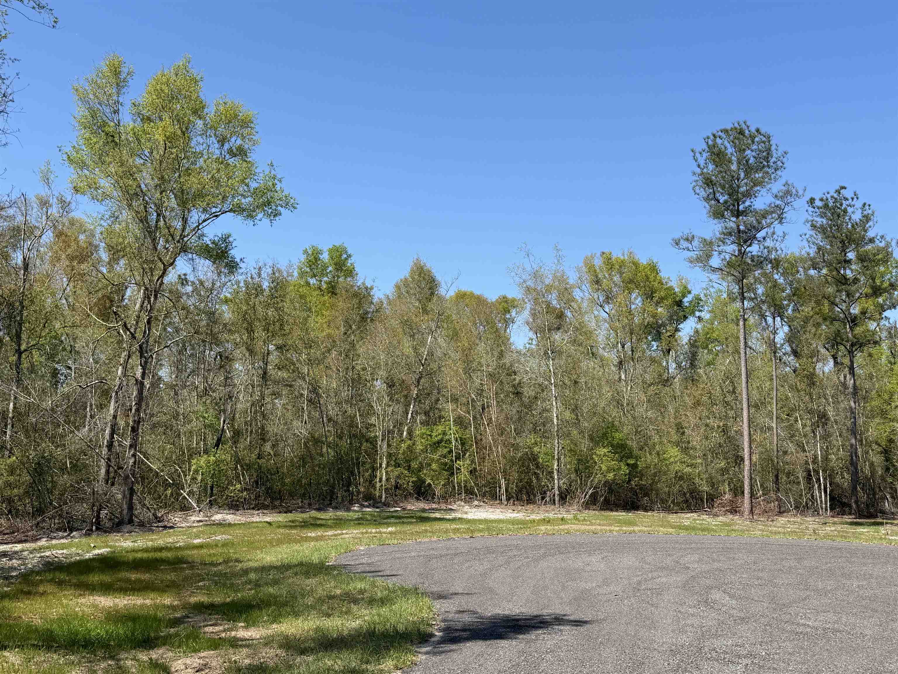 2 Highway 90 Holt, FL 32564 - Photo 2 of 24