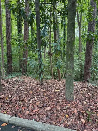 a view of a yard