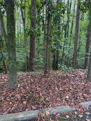 a view of a forest filled with trees