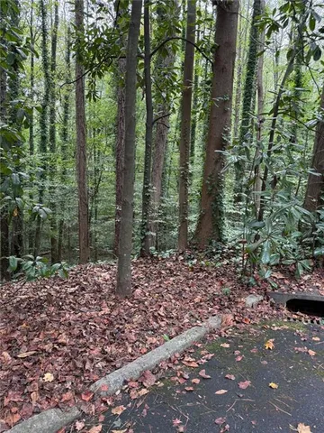 a view of a forest with trees