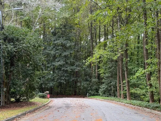 a pathway of a forest