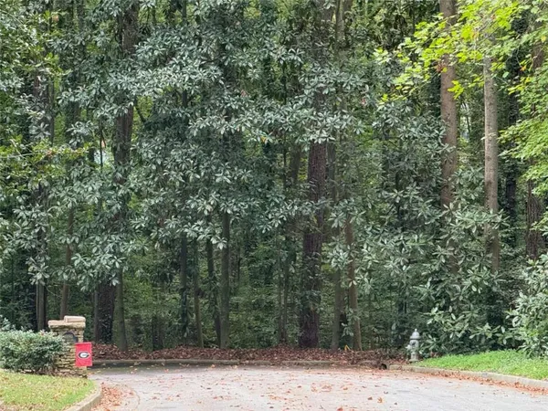a pathway of a yard