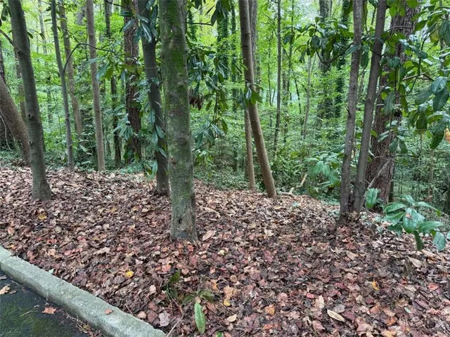 a big yard with lots of green space and trees