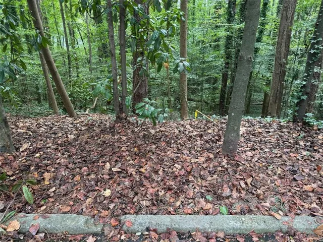 a large yard with lots of green space and trees