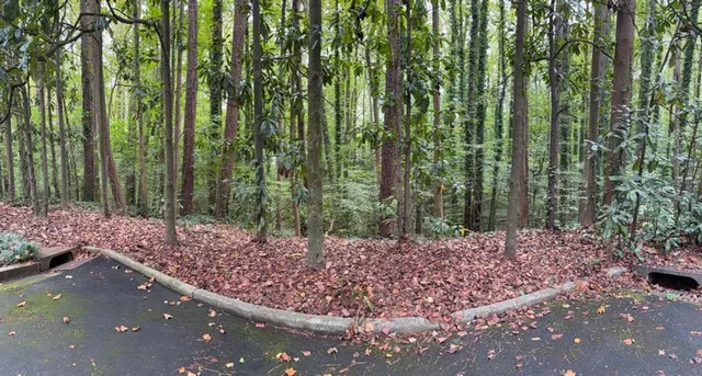 a view of outdoor space with lots of green space