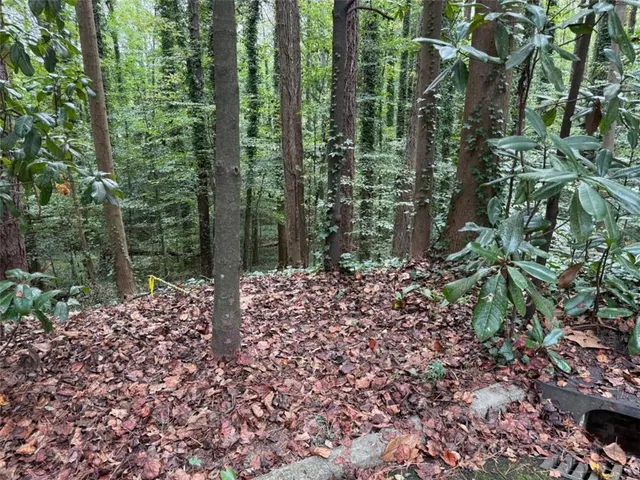 a view of a yard with plants and large trees