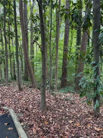 a view of a forest with trees