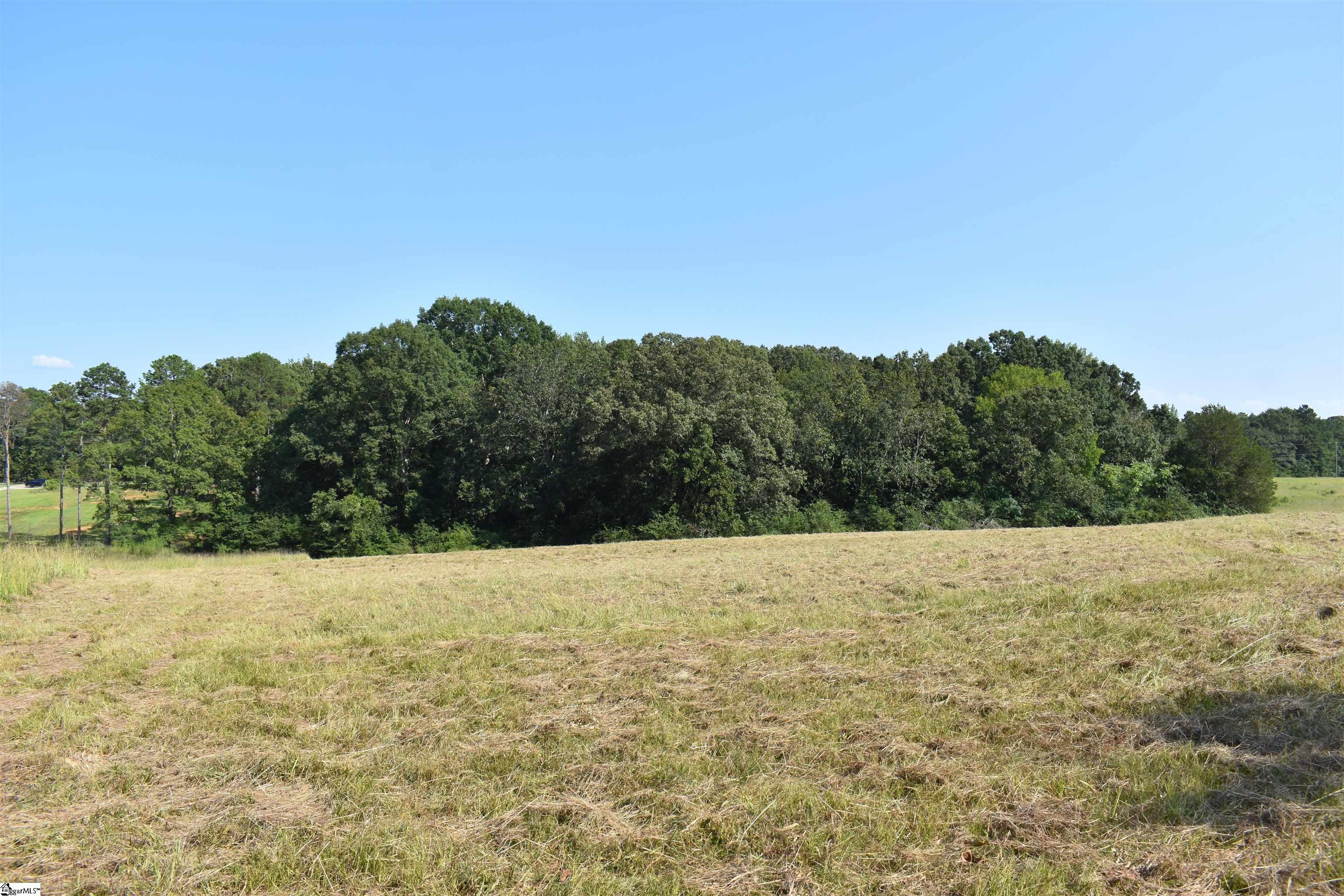 0 Cleveland Road, Unit LOT 6 Honea Path, SC 29654 - Photo 12 of 14 Gallery Image 12