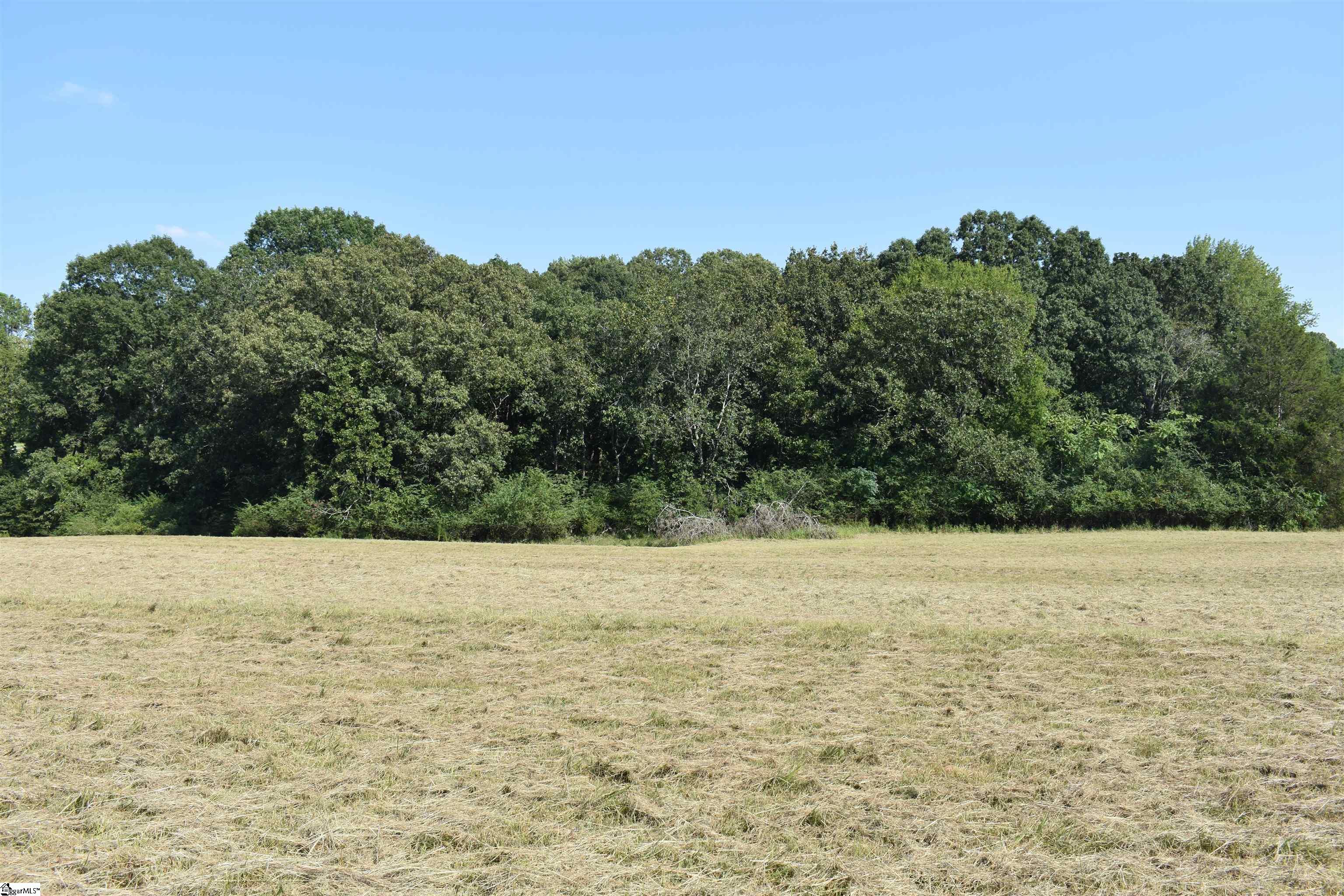 0 Cleveland Road, Unit LOT 6 Honea Path, SC 29654 - Photo 14 of 14 Gallery Image 14
