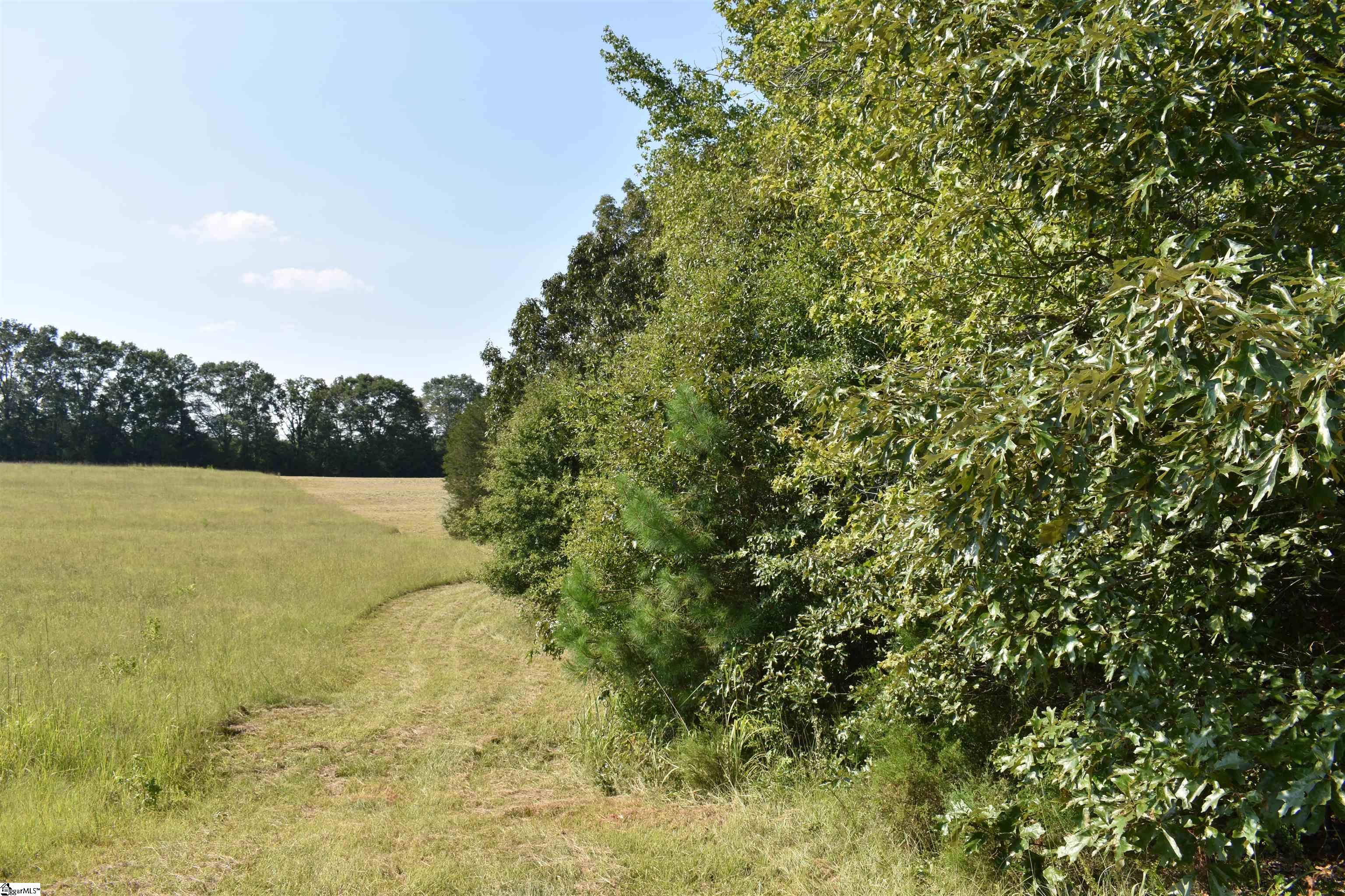 0 Cleveland Road, Unit LOT 6 Honea Path, SC 29654 - Photo 5 of 14 Gallery Image 5