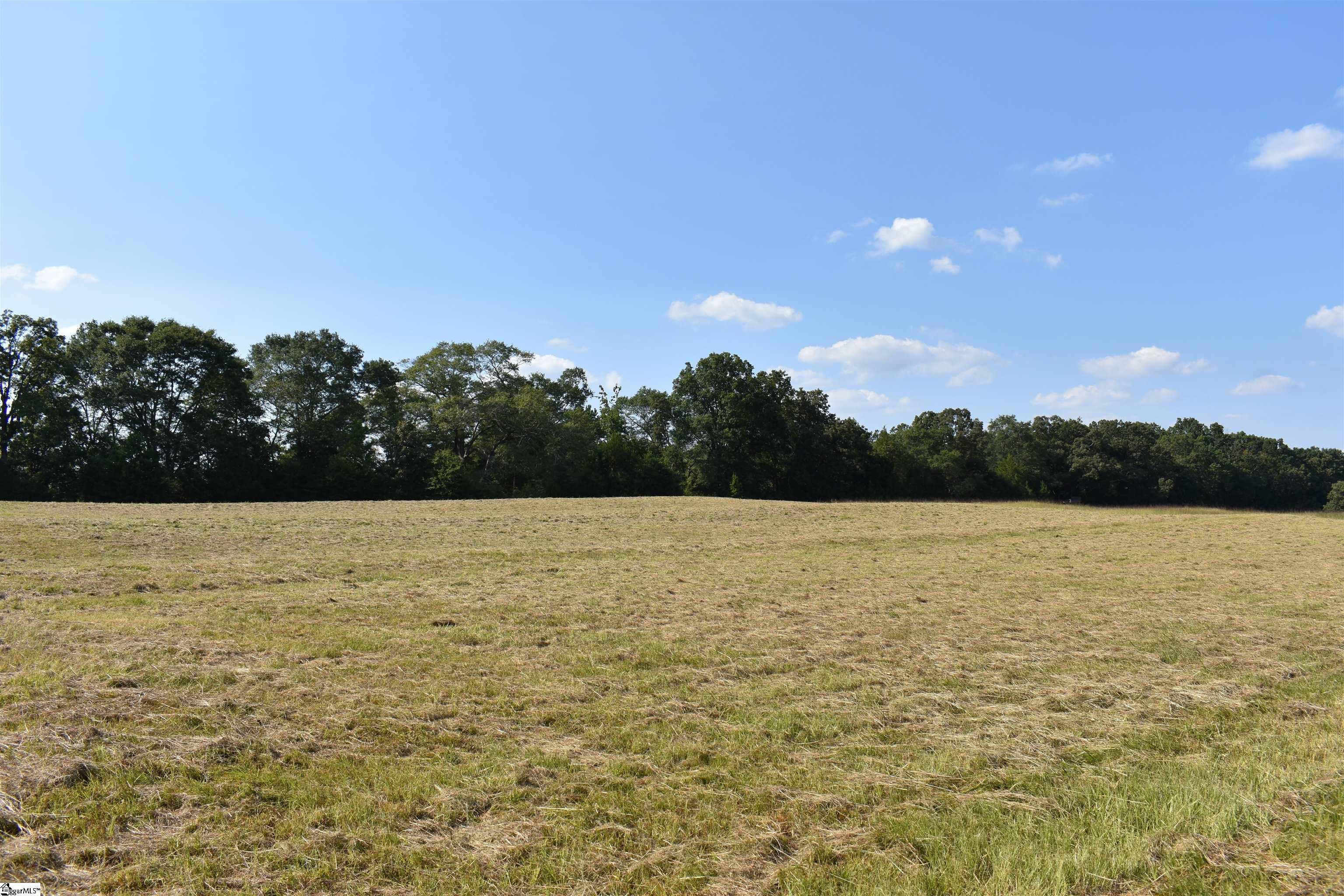 0 Cleveland Road, Unit LOT 6 Honea Path, SC 29654 - Photo 8 of 14 Gallery Image 8