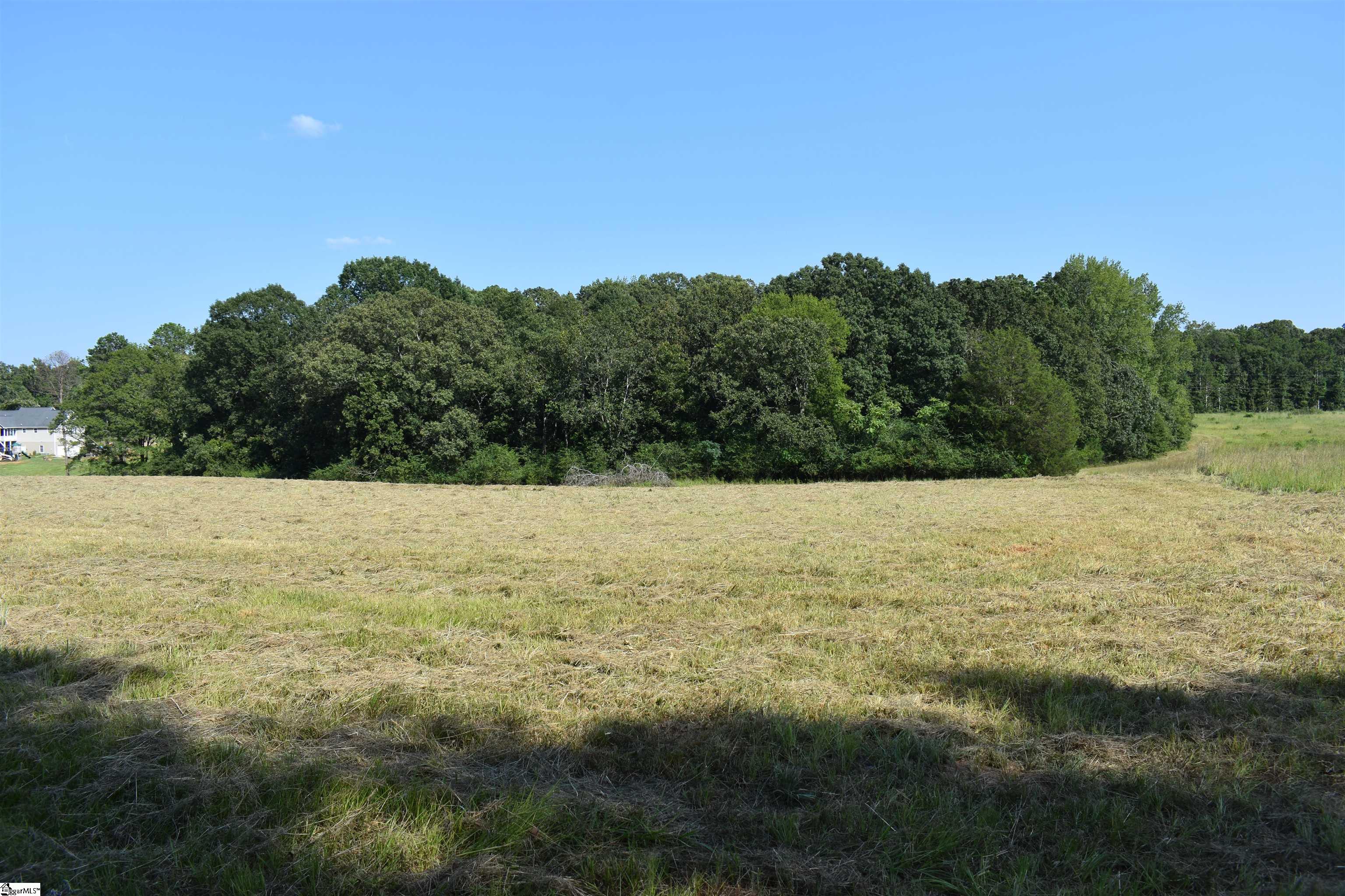 0 Cleveland Road, Unit LOT 6 Honea Path, SC 29654 - Photo 10 of 14 Gallery Image 10