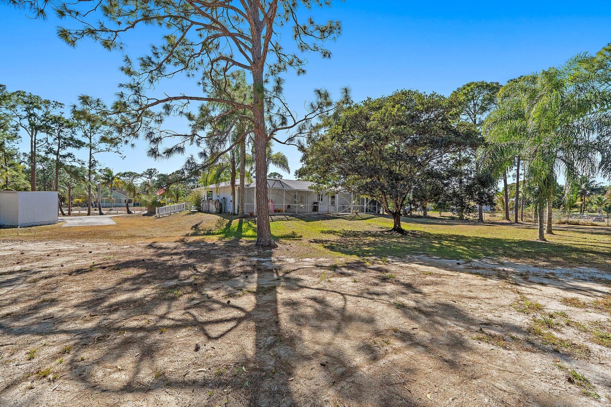 18389 41st Road North Loxahatchee, FL 33470 - Photo 28 of 33 a view of yard with tree