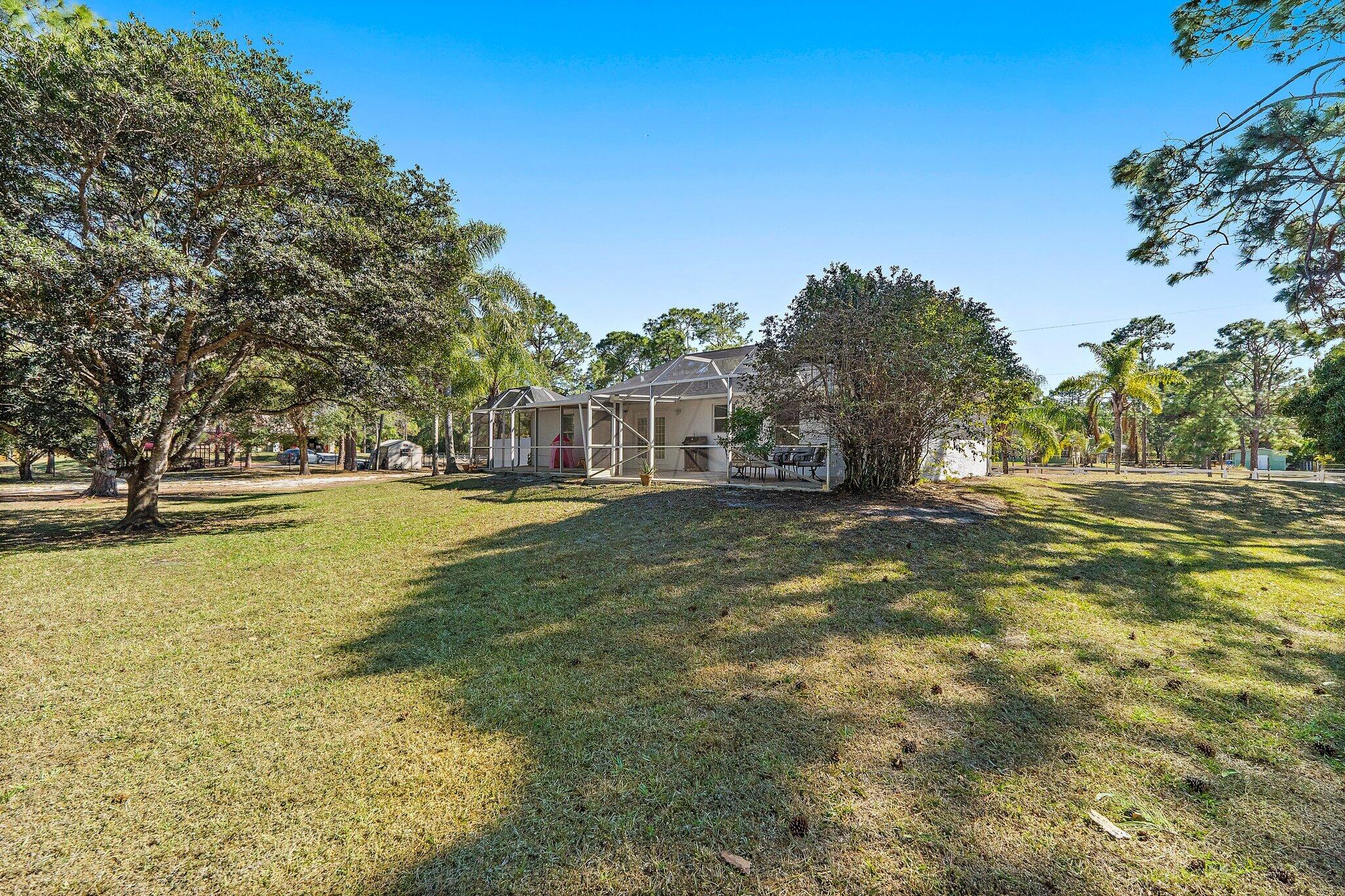 18389 41st Road North Loxahatchee, FL 33470 - Photo 32 of 33 a view of yard with swimming pool and trees