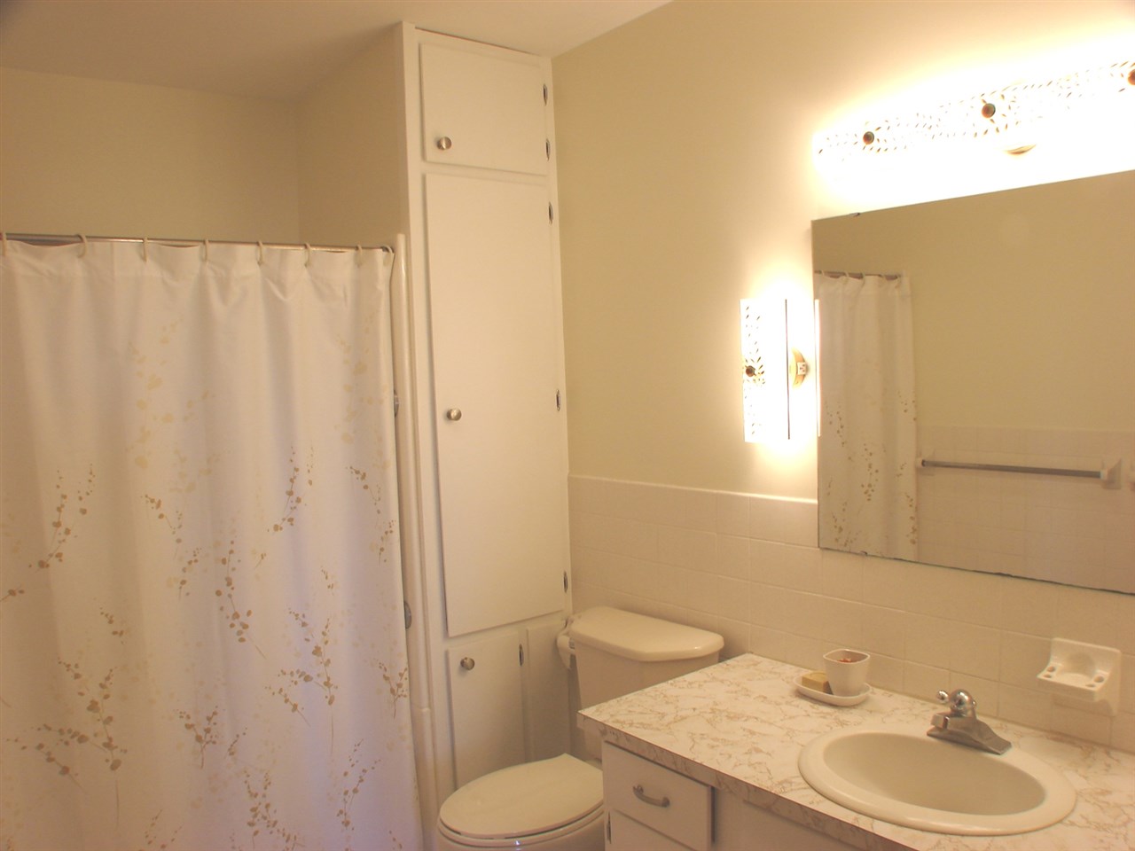 3636 West Humphrey Road Ithaca, MI 48847 - Photo 13 of 44 1809244-12.JPG