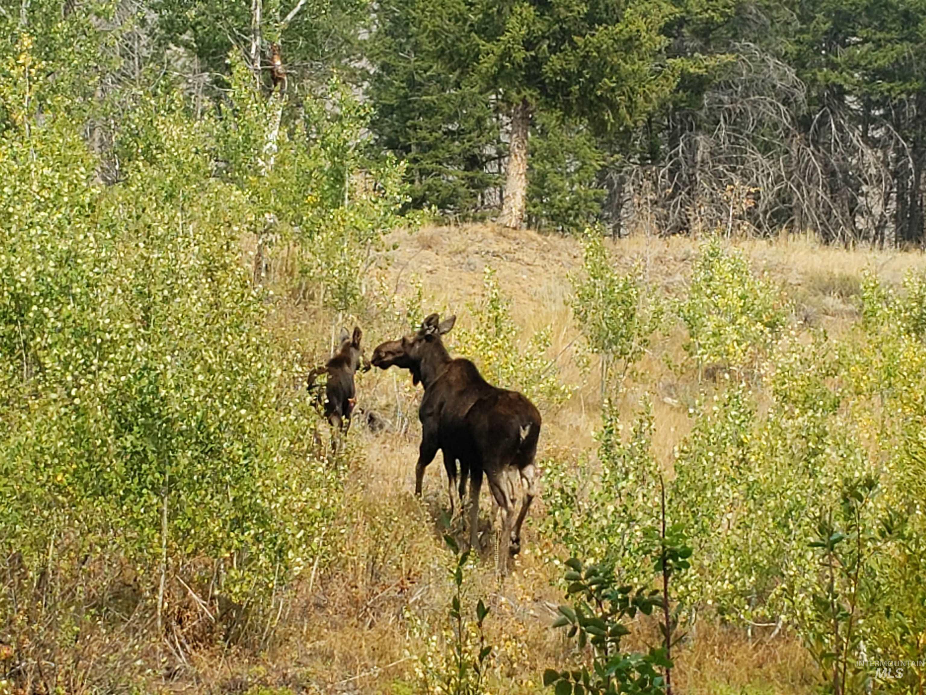 421 Deer Creek Road Hailey, ID 83333 - Photo 32 of 42 Exterior view