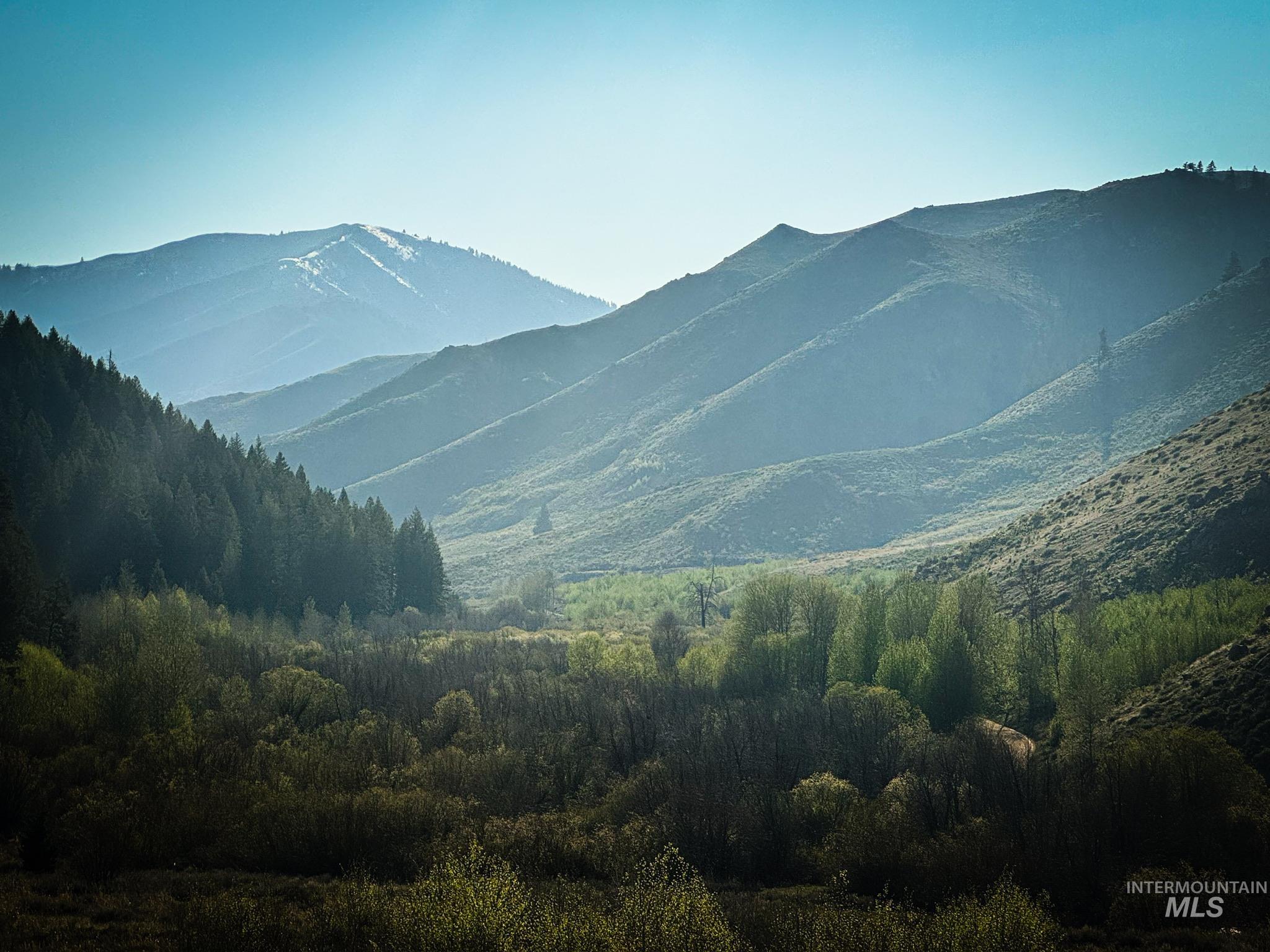 421 Deer Creek Road Hailey, ID 83333 - Photo 10 of 42 View of mountain backdrop featuring a heavily wooded area
