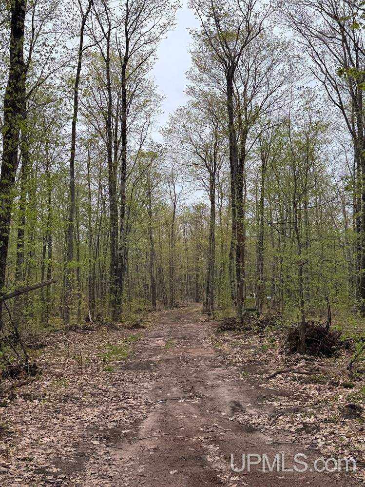 53554 North Superior Road Houghton, MI 49931 - Photo 15 of 17