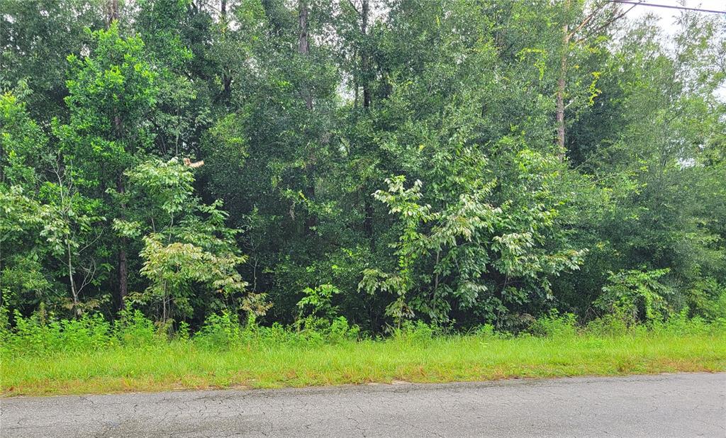 22 Centennial Road Dade City, FL 33525 - Photo 1 of 1 Gallery Image 1