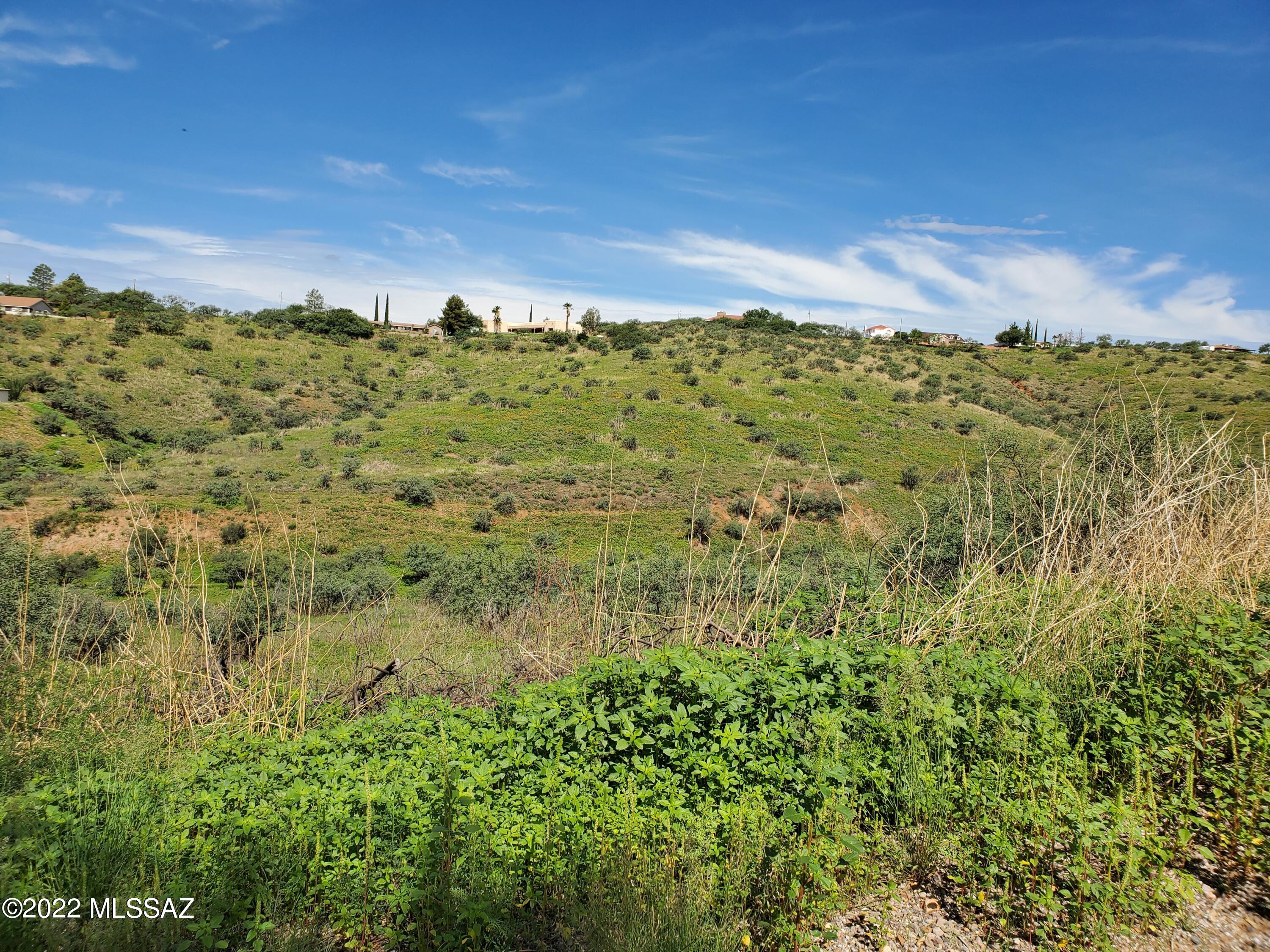 1241 Circulo Aguilar, Unit 40 Rio Rico, AZ 85648 - Photo 9 of 9