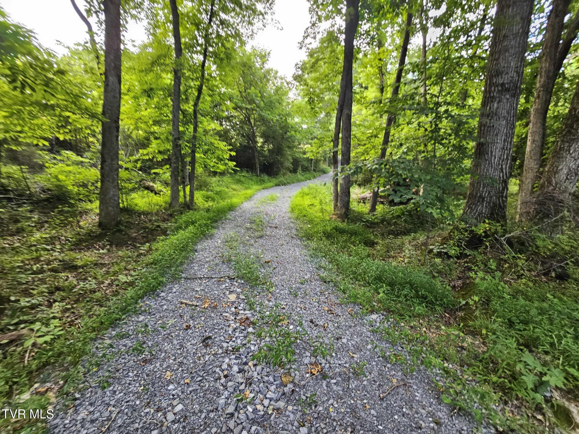 2264 Devault Bridge Road Piney Flats, TN 37686 - Photo 2 of 29 0b1205aa-6299-4299-a03c-e45d1aa004d6