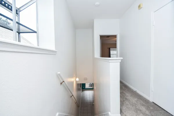 a view of a wooden floor with some potted plants