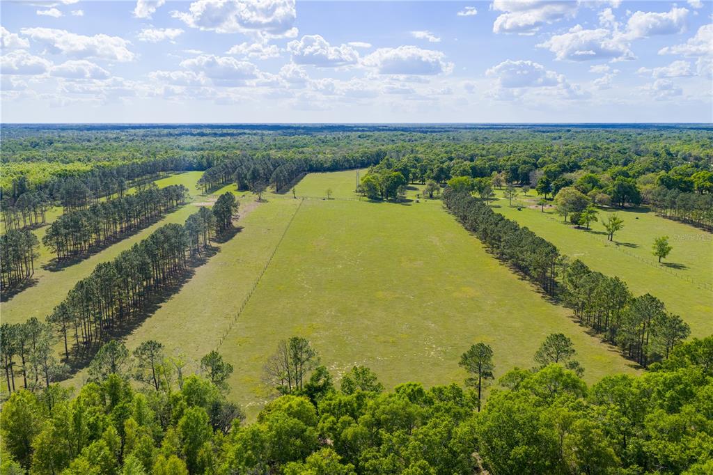 4639 Southwest Wilson Springs Road Fort White, FL 32038 - Photo 71 of 75 Gallery Image 71