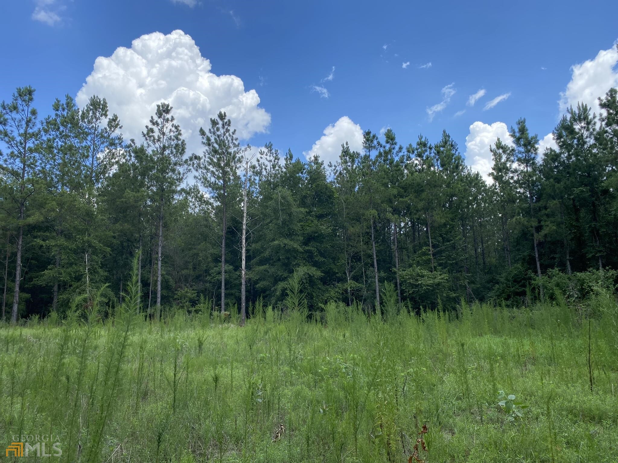 2 Wilkie Mosley Road Blakely, GA 39823 - Photo 1 of 1 Gallery Image 1