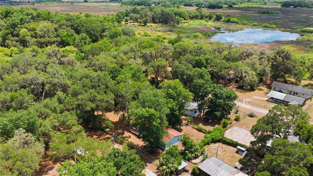 3290 Northeast 161st Street Citra, FL 32113 - Photo 3 of 30