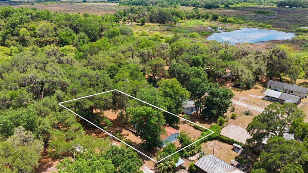 3290 Northeast 161st Street Citra, FL 32113 - Photo 4 of 30