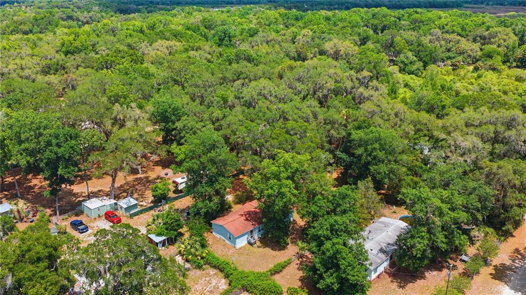 3290 Northeast 161st Street Citra, FL 32113 - Photo 5 of 30
