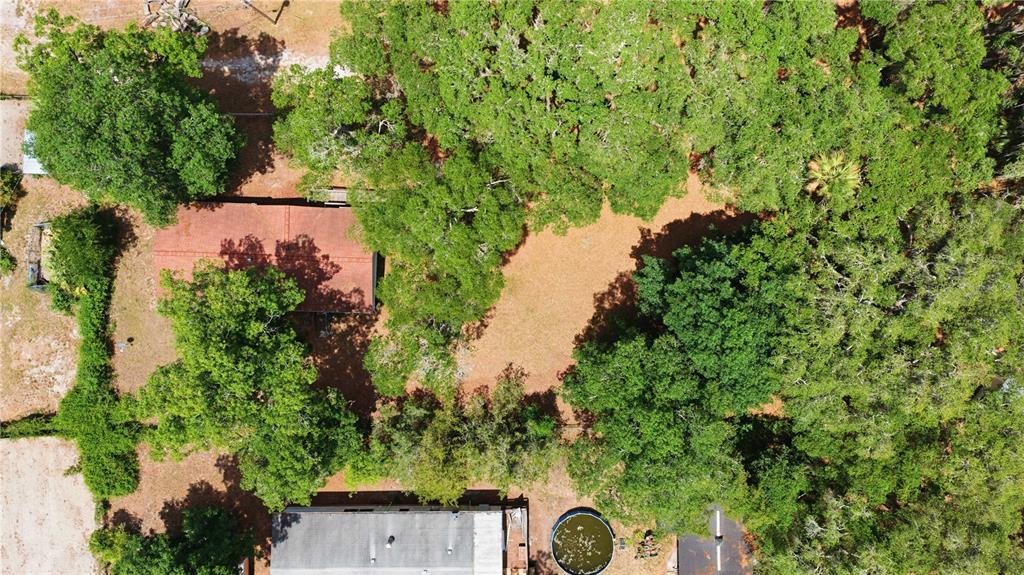3290 Northeast 161st Street Citra, FL 32113 - Photo 6 of 30