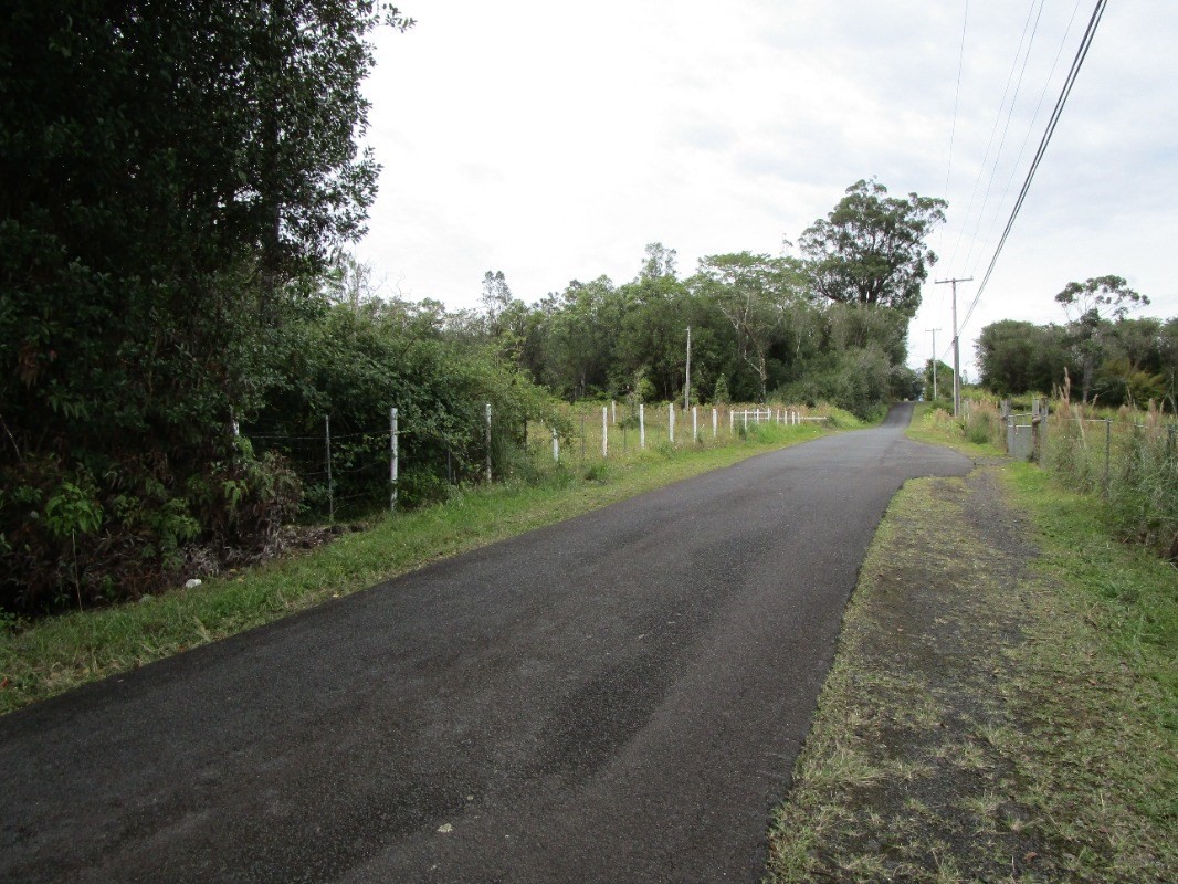 169 North Peck Road Mountain View, HI 96771 - Photo 4 of 4 a view of a road with a yard