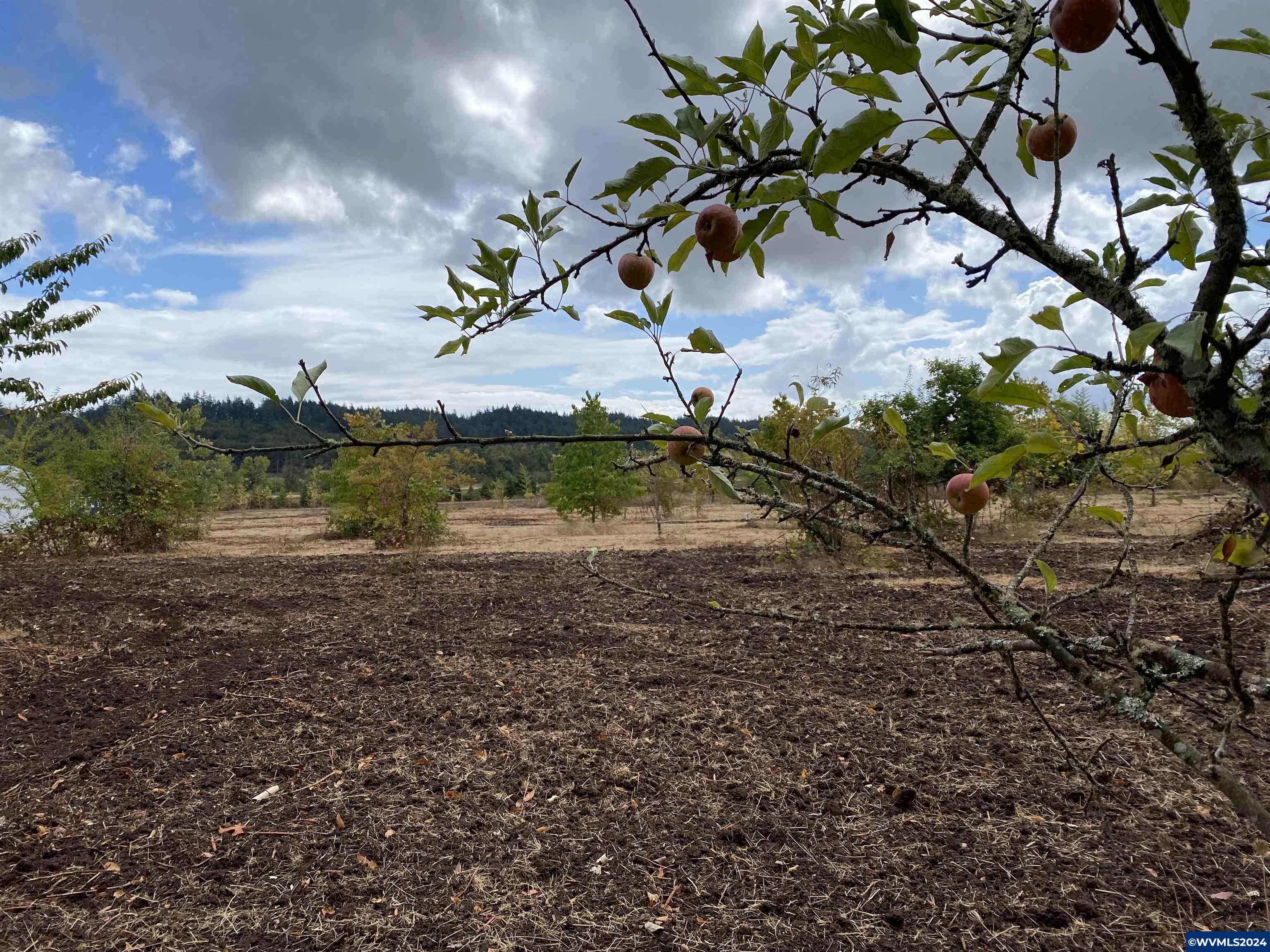 99 W Highway Corvallis, OR 97330 - Photo 10 of 12